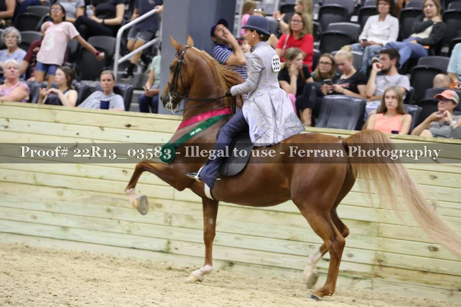 Proof 22R13_03583