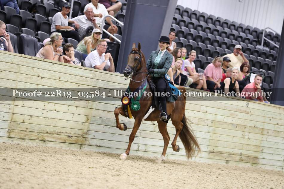 Proof 22R13_03584