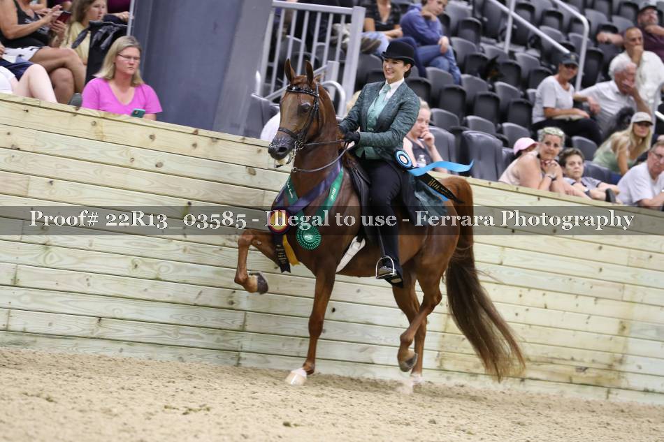 Proof 22R13_03585