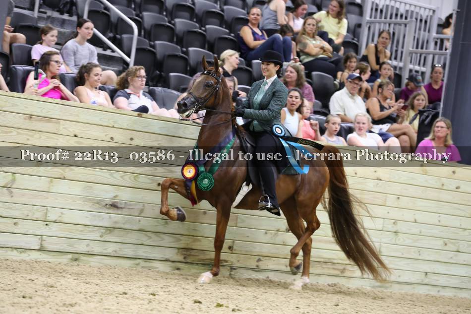Proof 22R13_03586