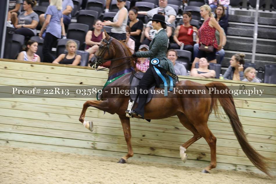 Proof 22R13_03589