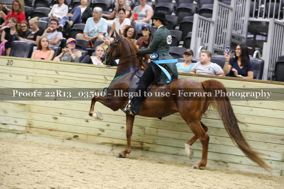 Proof 22R13_03590