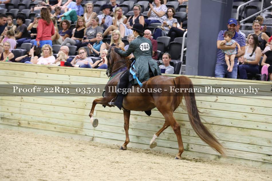 Proof 22R13_03591