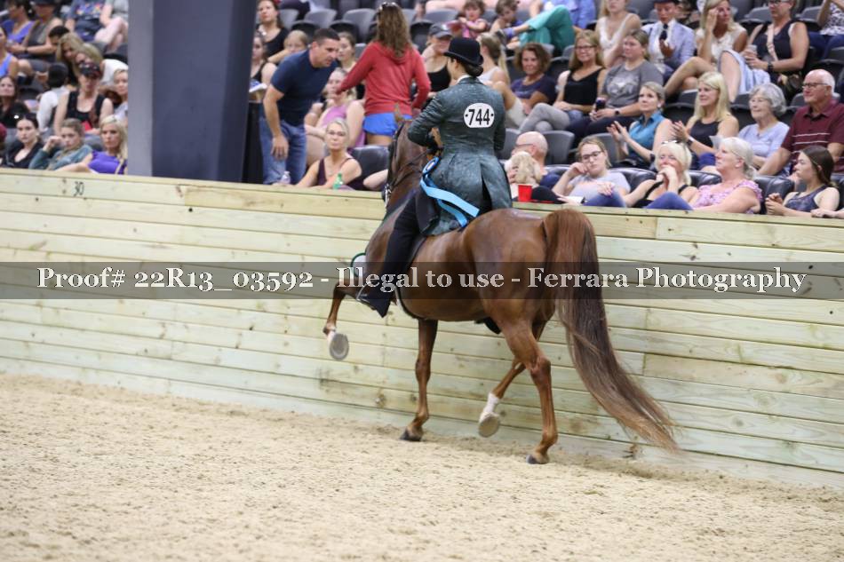 Proof 22R13_03592