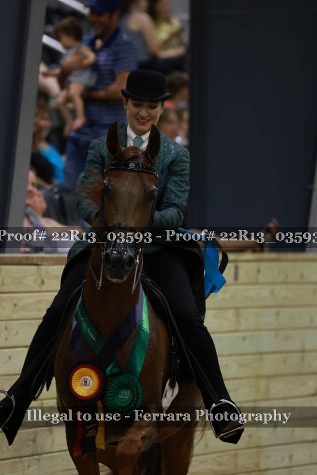 Proof 22R13_03593