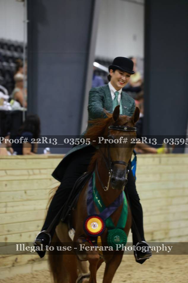 Proof 22R13_03595