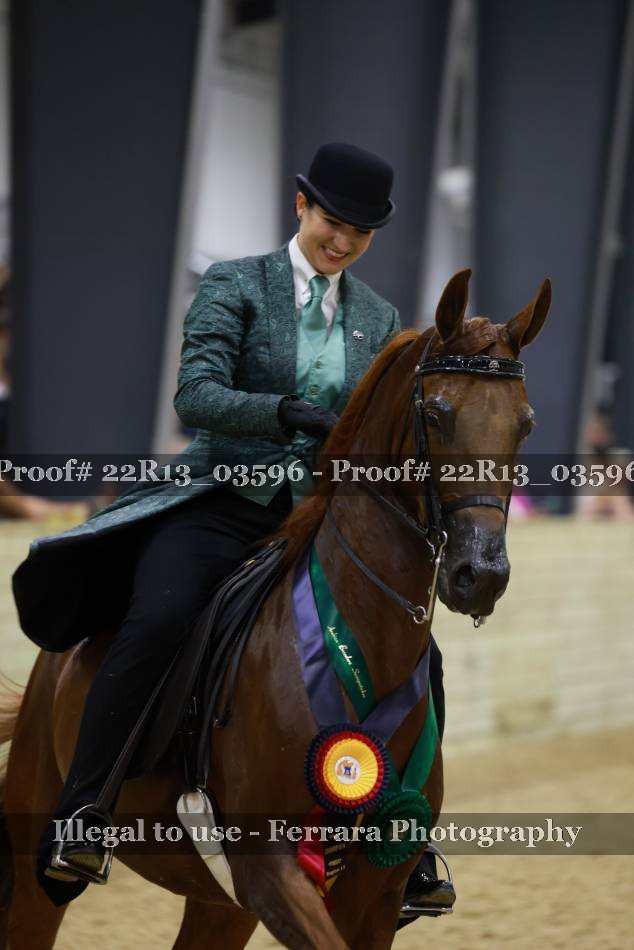 Proof 22R13_03596