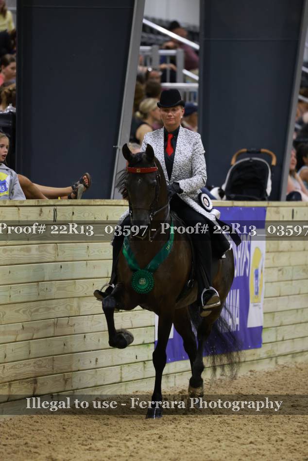 Proof 22R13_03597