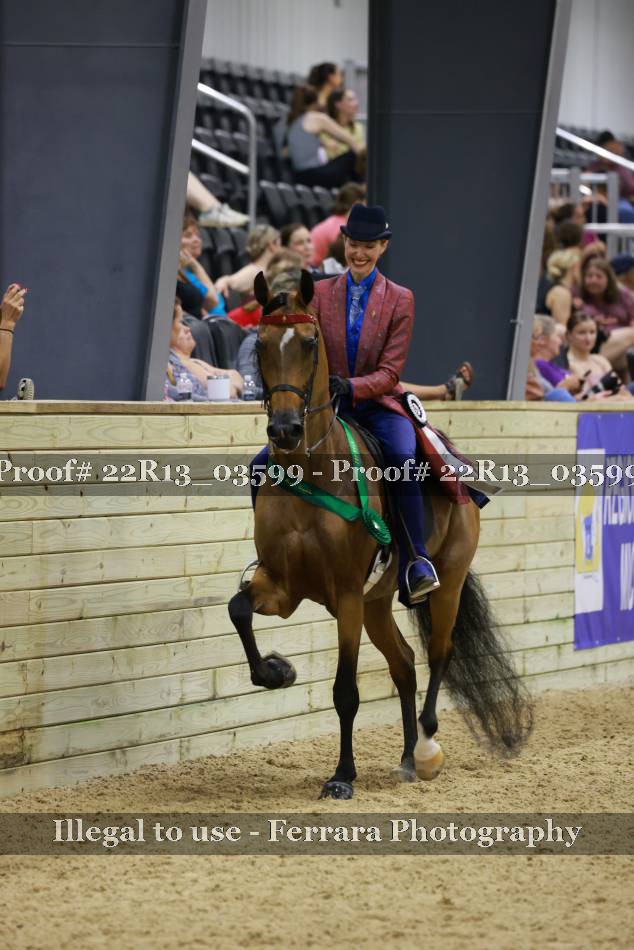 Proof 22R13_03599