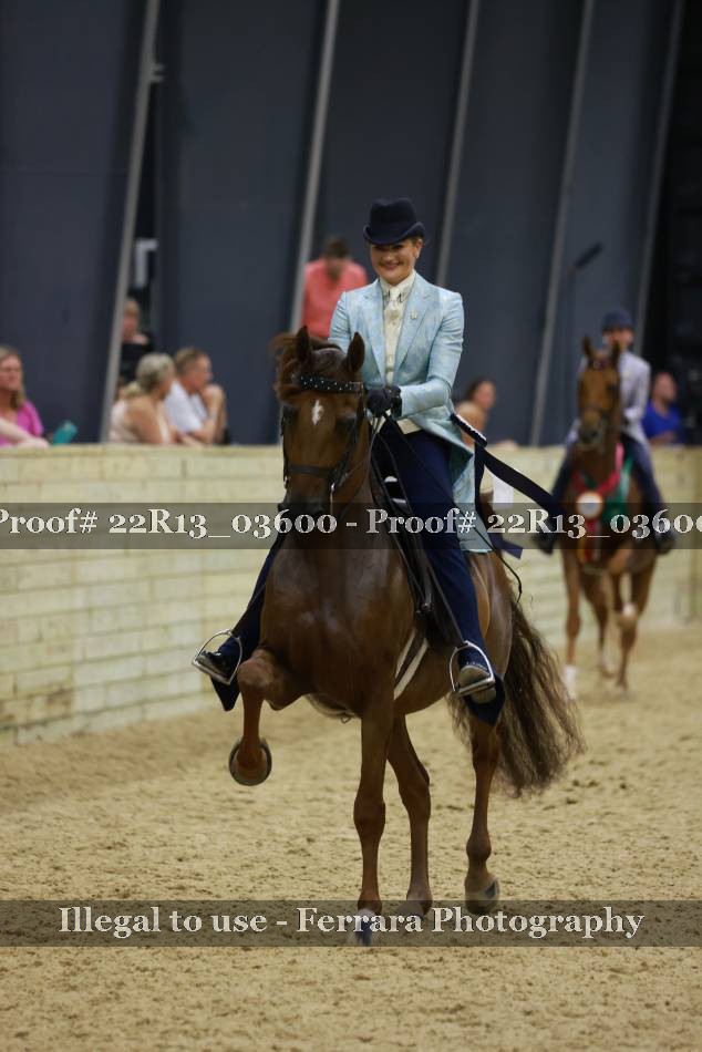 Proof 22R13_03600