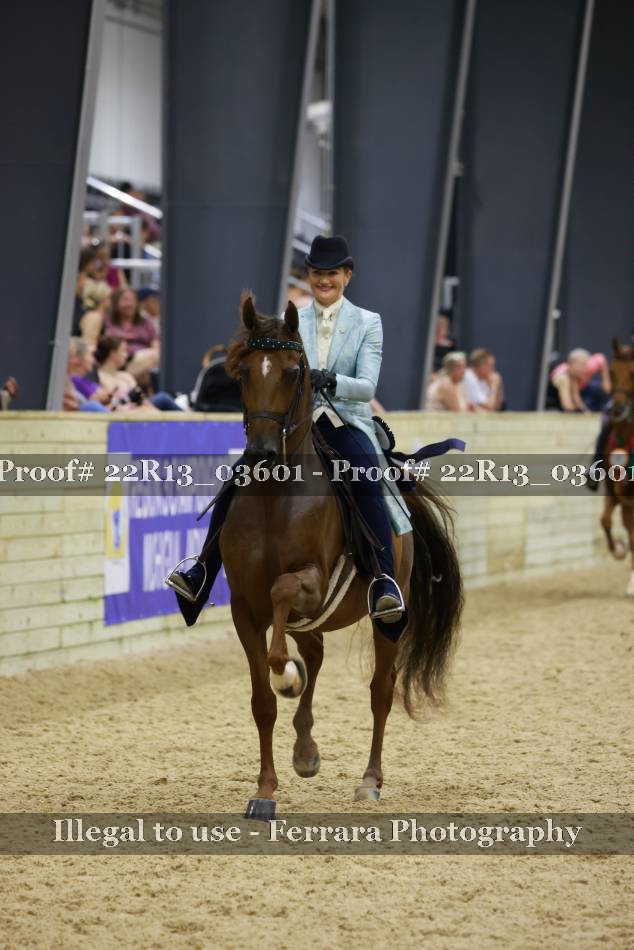 Proof 22R13_03601