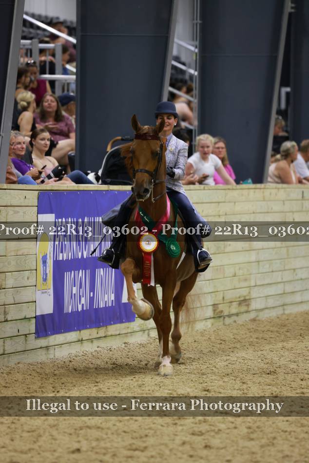 Proof 22R13_03602