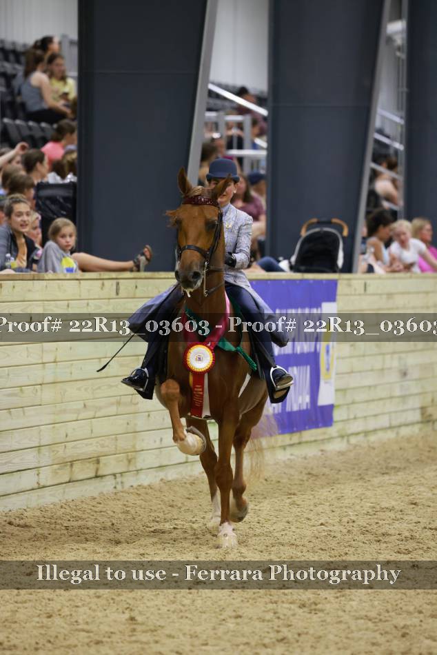 Proof 22R13_03603
