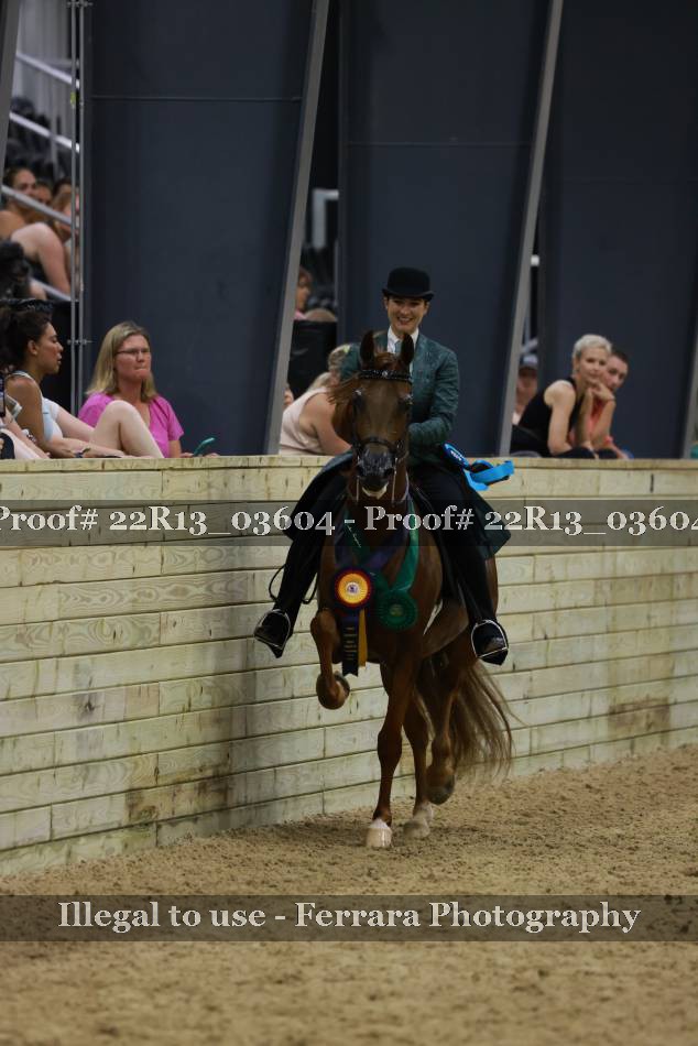 Proof 22R13_03604