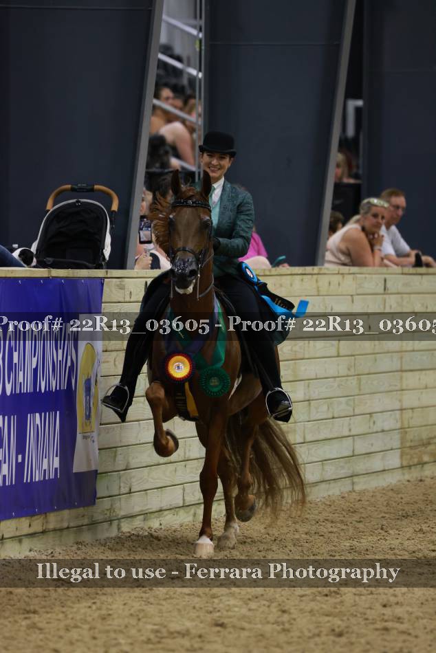 Proof 22R13_03605