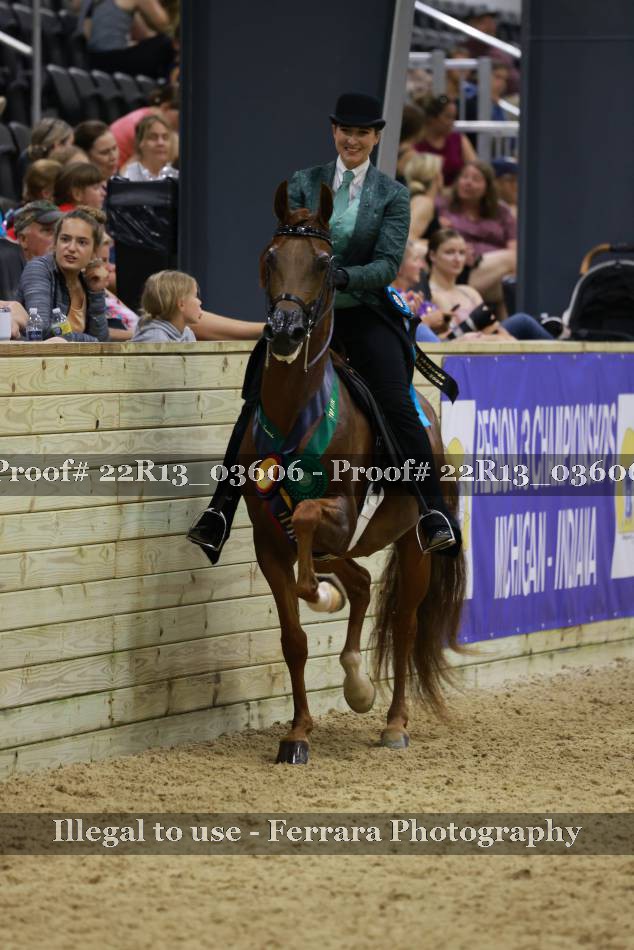 Proof 22R13_03606