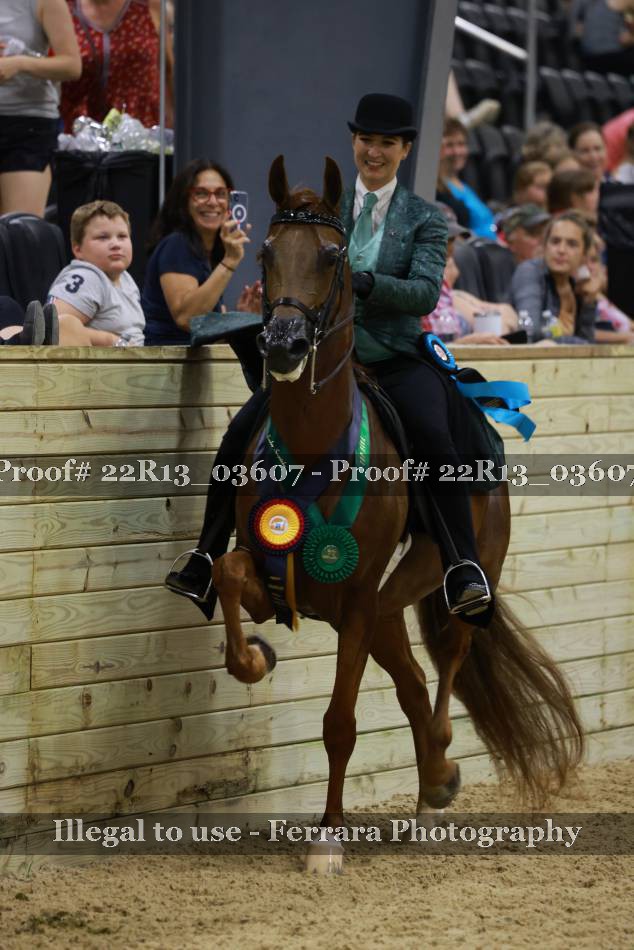 Proof 22R13_03607