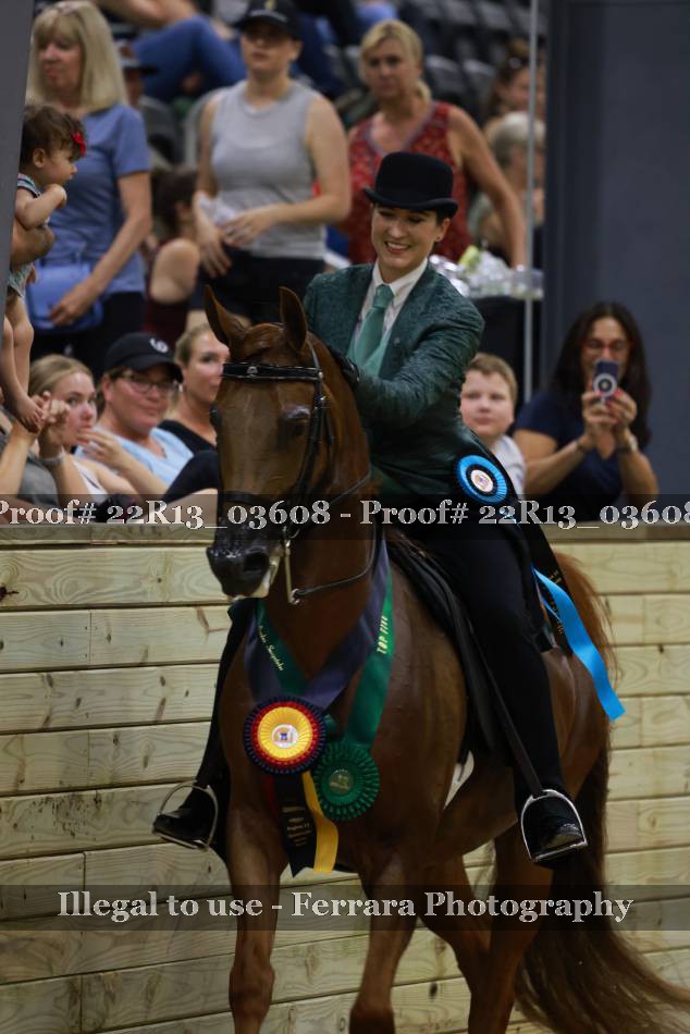 Proof 22R13_03608