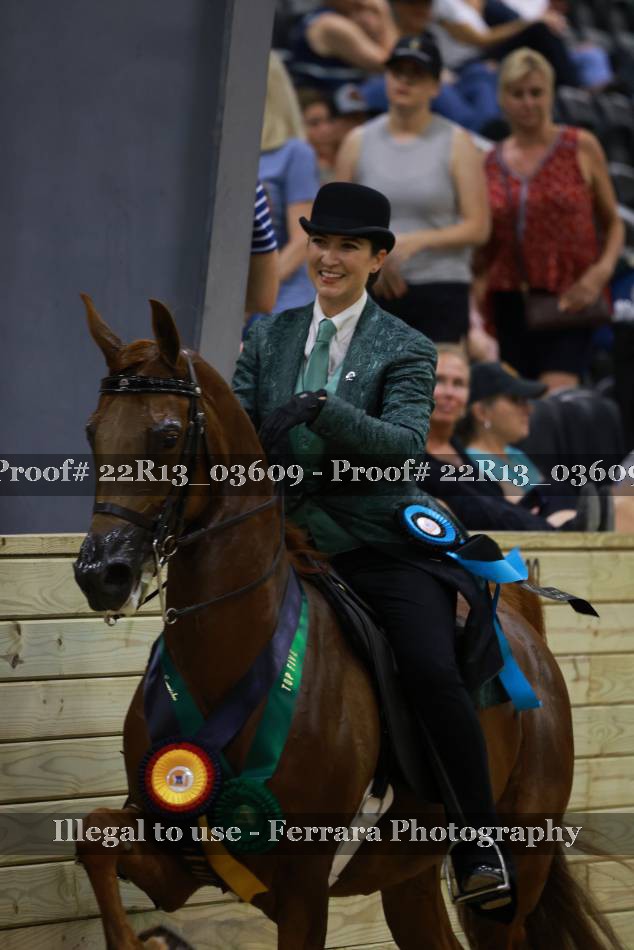 Proof 22R13_03609