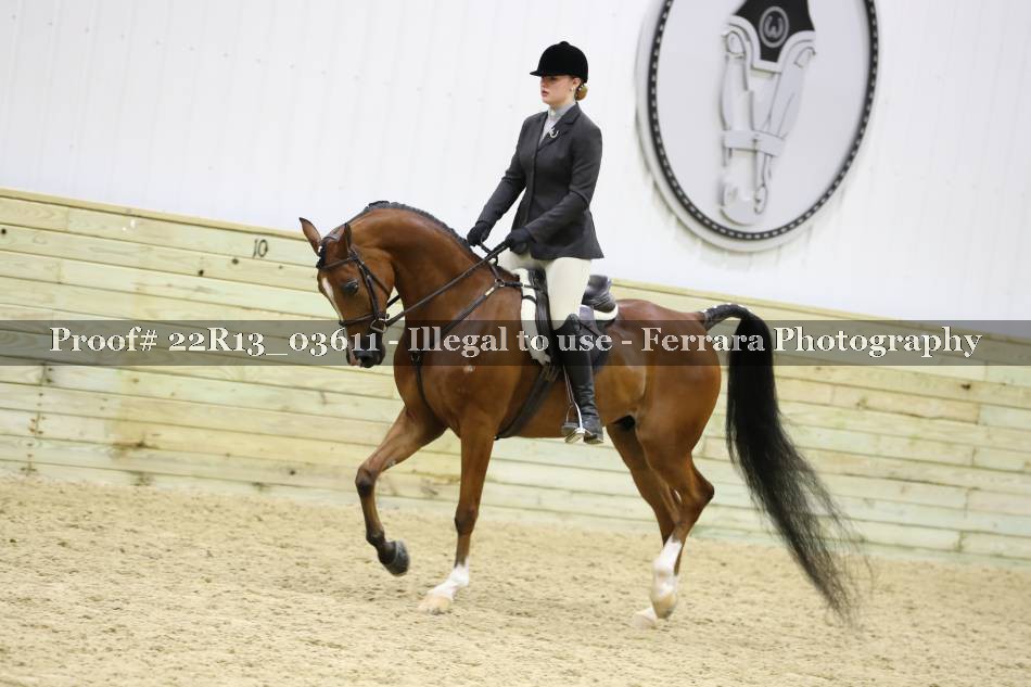 Proof 22R13_03611