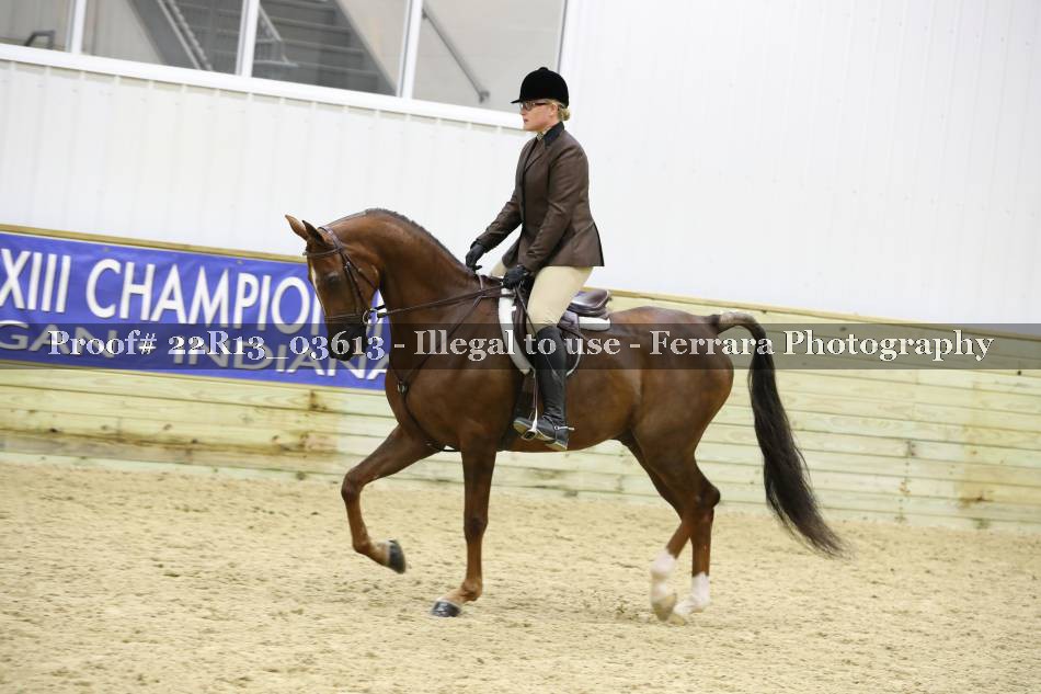 Proof 22R13_03613