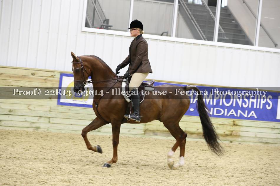 Proof 22R13_03614