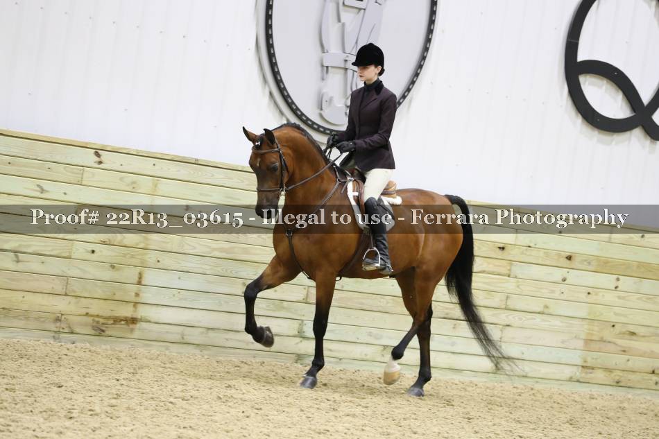 Proof 22R13_03615