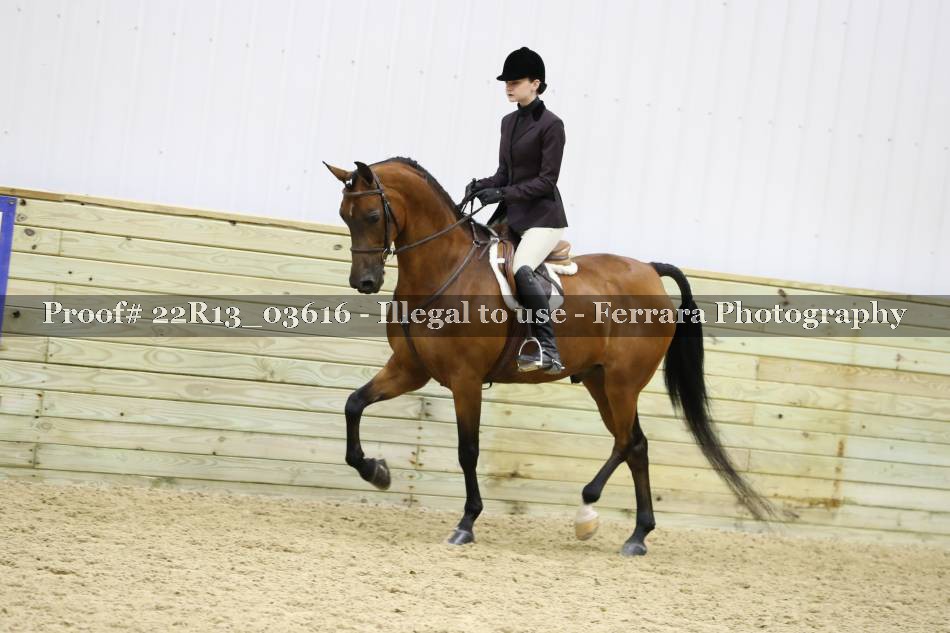Proof 22R13_03616