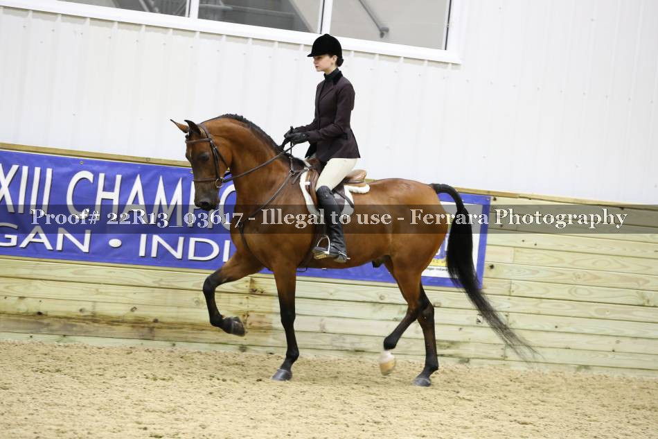 Proof 22R13_03617