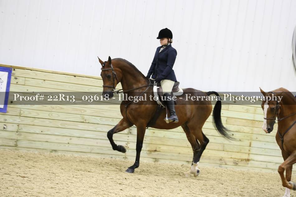 Proof 22R13_03618