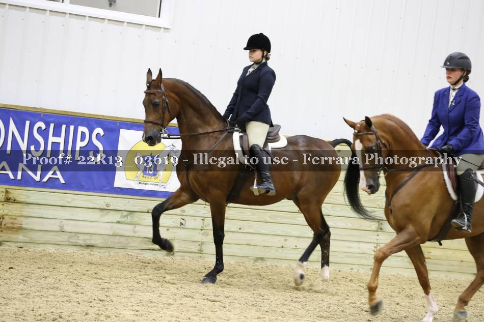 Proof 22R13_03619