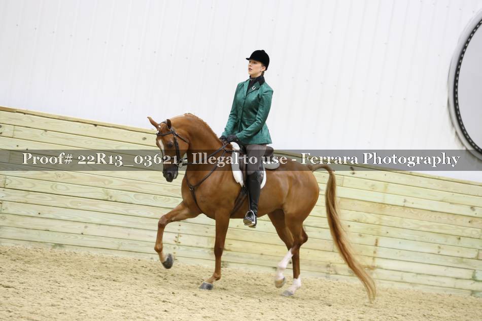 Proof 22R13_03621