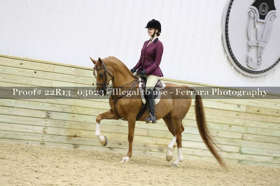 Proof 22R13_03623
