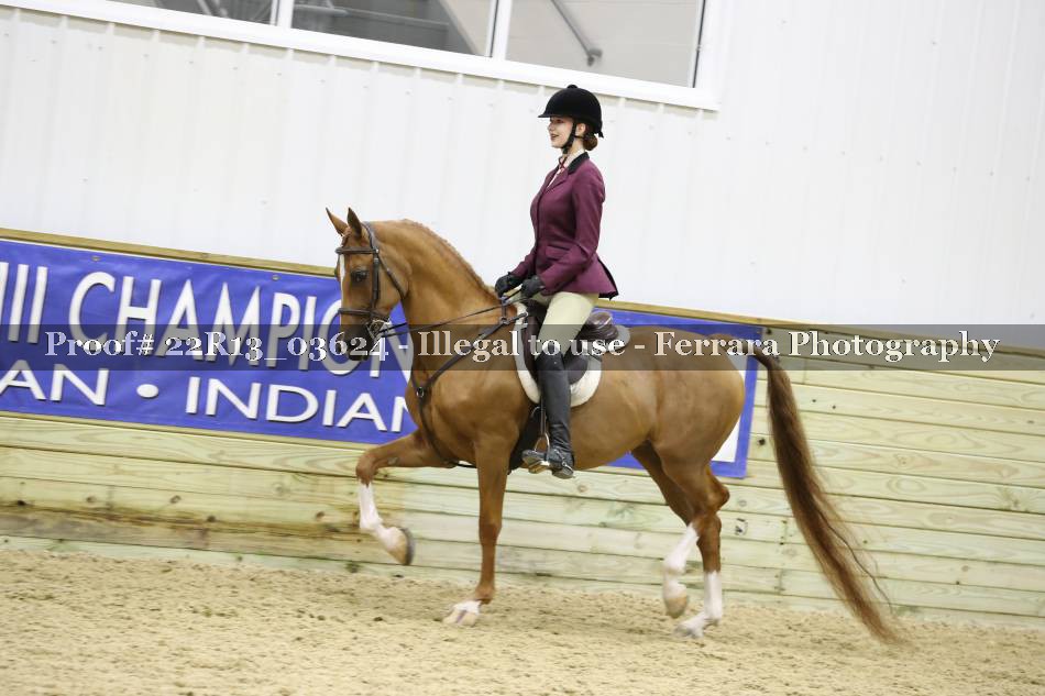 Proof 22R13_03624
