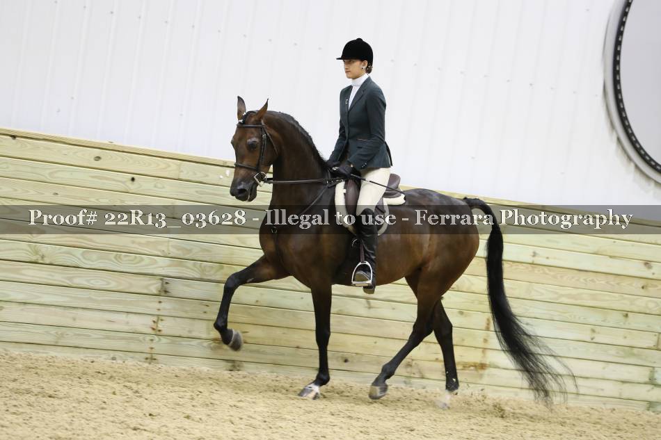 Proof 22R13_03628