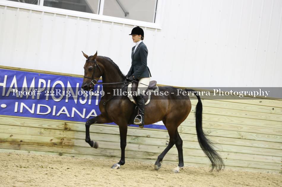 Proof 22R13_03629