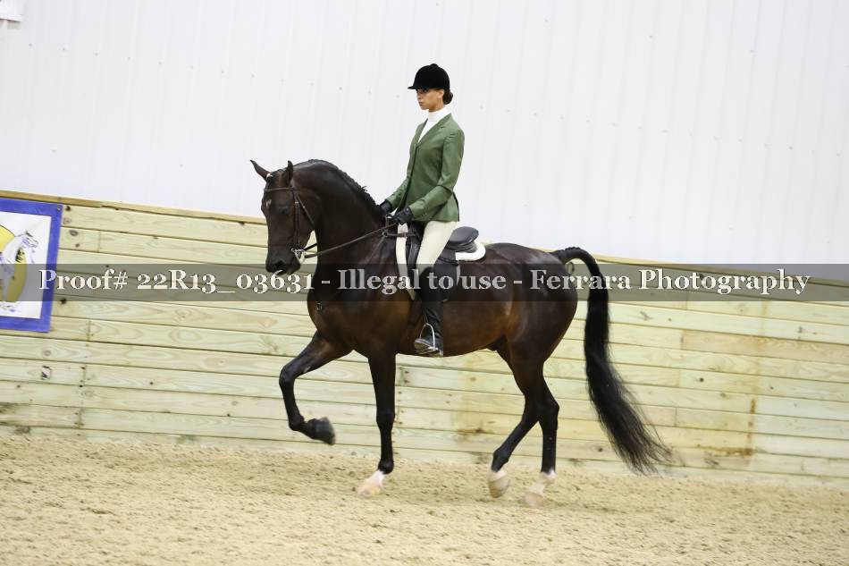 Proof 22R13_03631