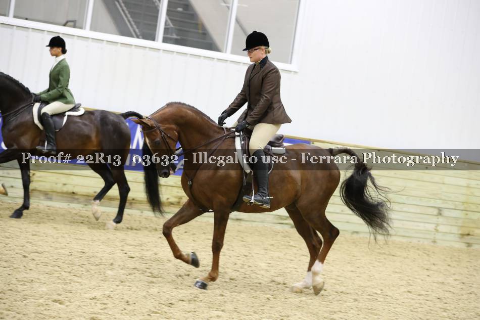 Proof 22R13_03632