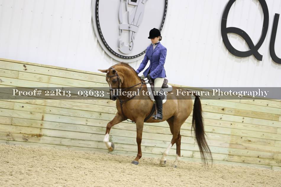 Proof 22R13_03633