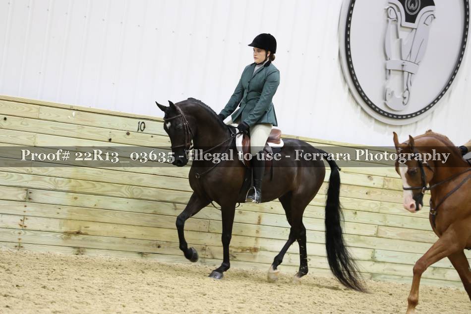 Proof 22R13_03635