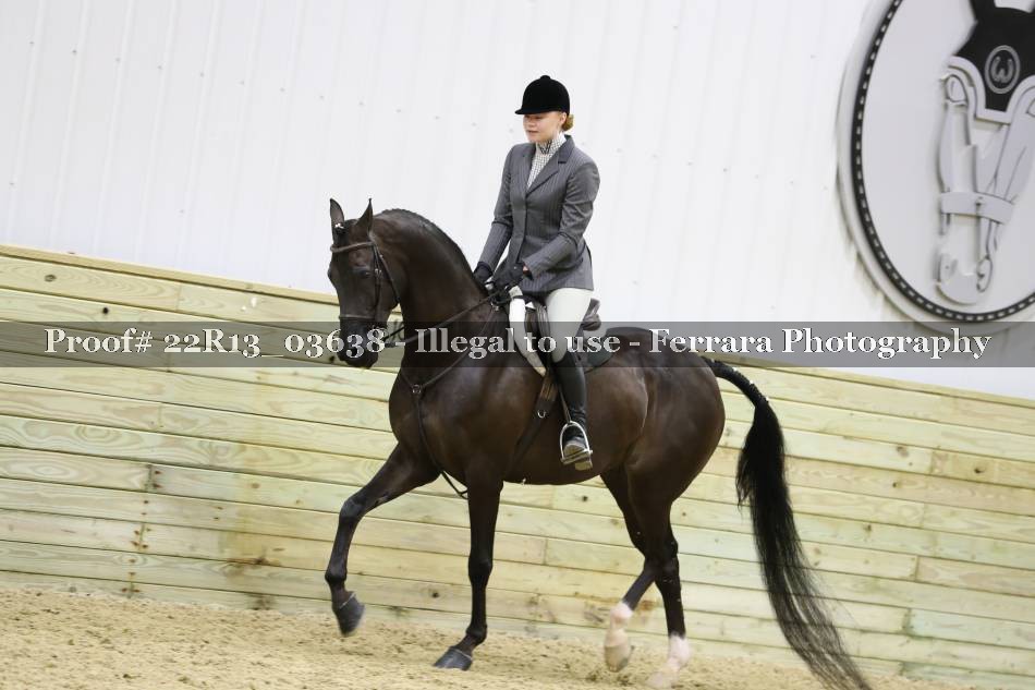 Proof 22R13_03638