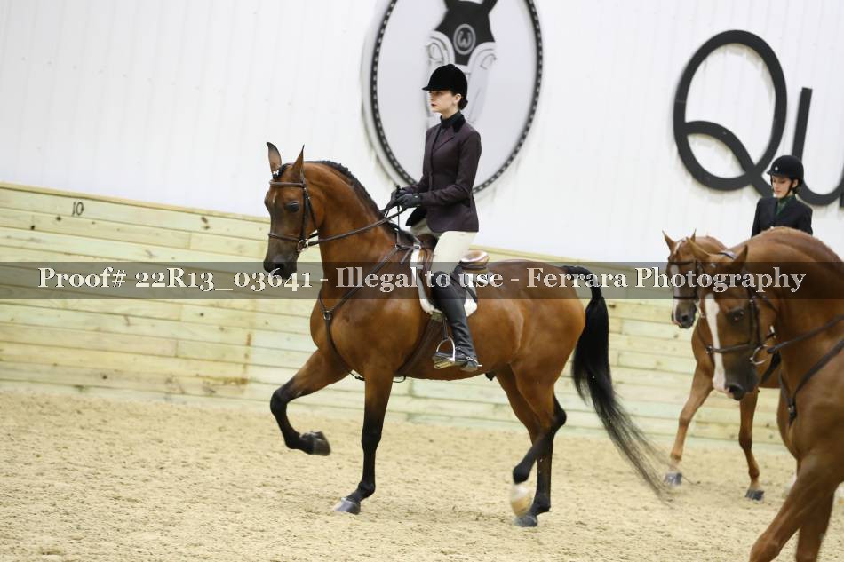Proof 22R13_03641
