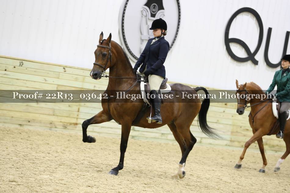 Proof 22R13_03642