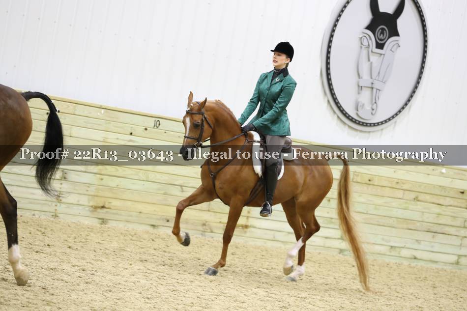 Proof 22R13_03643