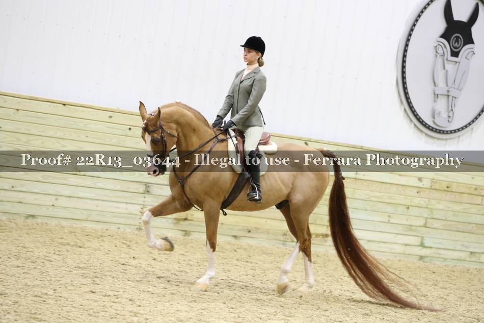 Proof 22R13_03644