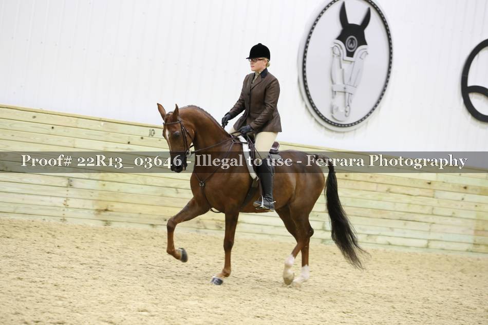 Proof 22R13_03646