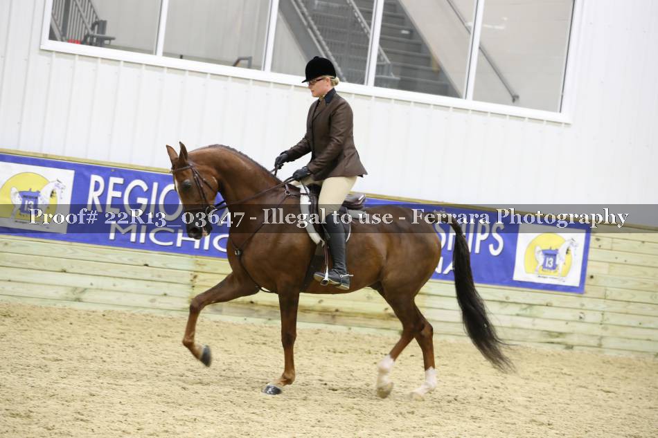 Proof 22R13_03647