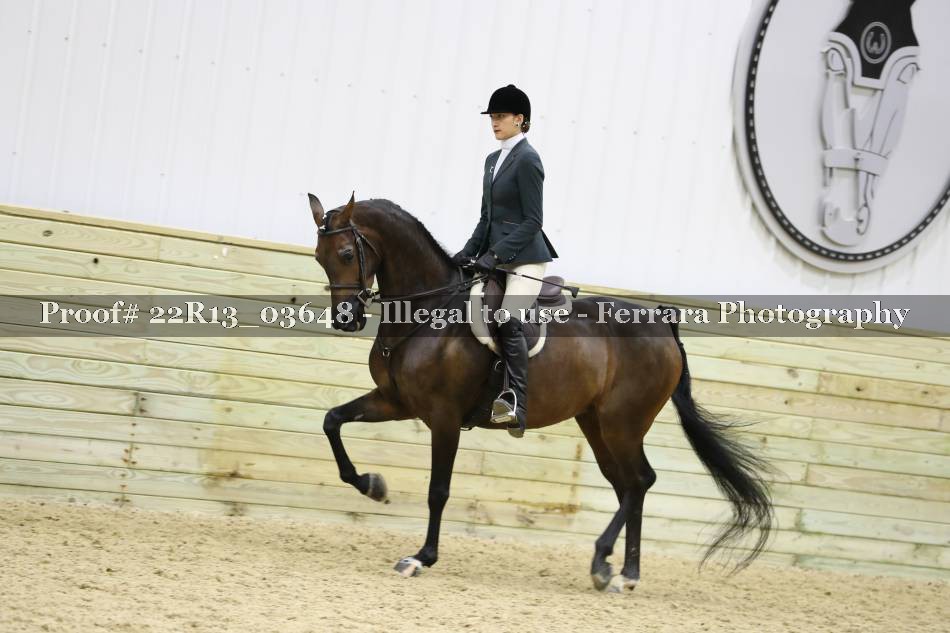 Proof 22R13_03648