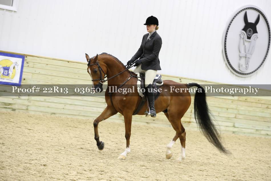 Proof 22R13_03650