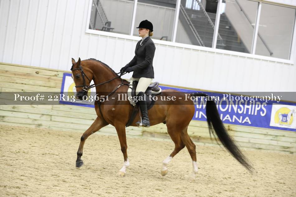 Proof 22R13_03651